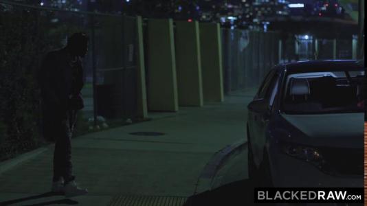 Превью Блондинка после шумной вечеринки уединилась с негром для жаркого секса № 138