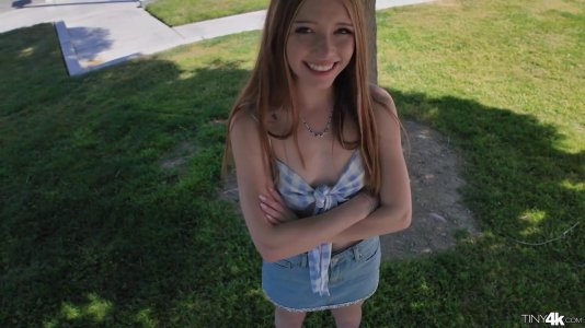 Превью Пикапер уговорил милашку с маленькими сиськами потрахаться № 19077