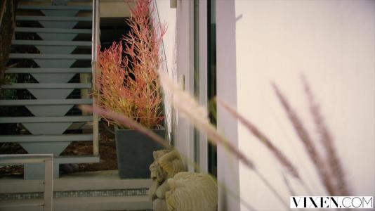 Превью Подруги делят один член на двоих и наслаждаются сексом втроем № 262