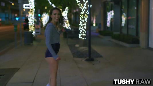 Превью Телка с шикарной задницей наслаждается анальным проникновением № 543