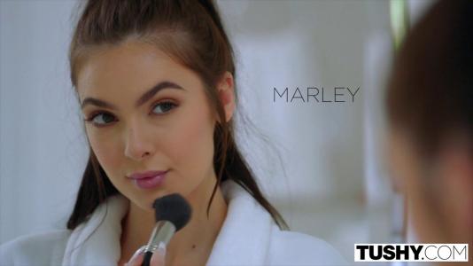 Превью Красотка с татуировкой обожает жесткий анал со своим бойфрендом № 88