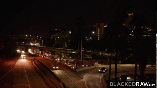 Превью Негр после вечеринки привез телку домой и устроил с ней жаркую ночь № 990